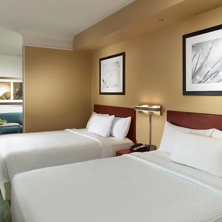Springhill Suites By Marriott Atlanta Buckhead-2